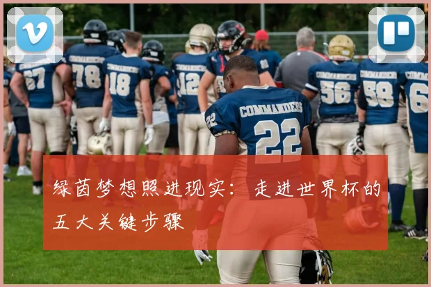 绿茵梦想照进现实：走进世界杯的五大关键步骤