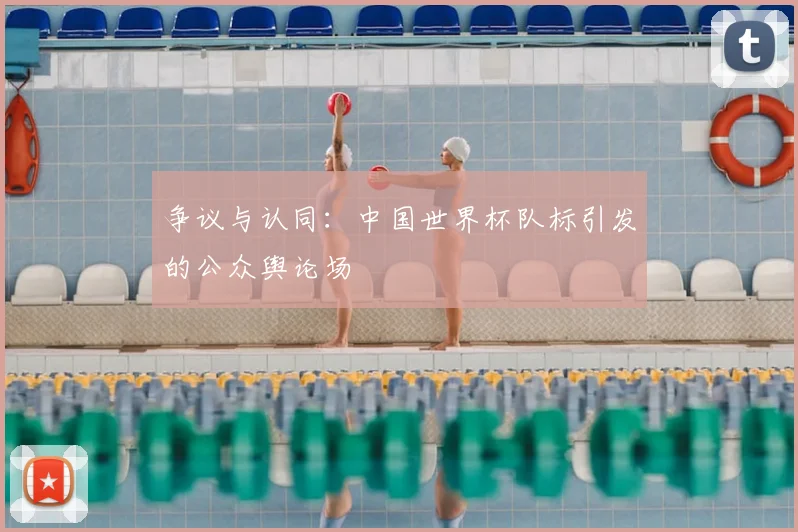 争议与认同：中国世界杯队标引发的公众舆论场