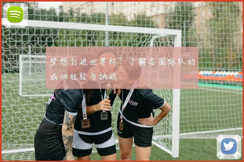梦想打进世界杯？了解各国球队的成功经验与挑战