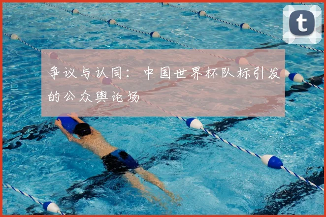 争议与认同：中国世界杯队标引发的公众舆论场