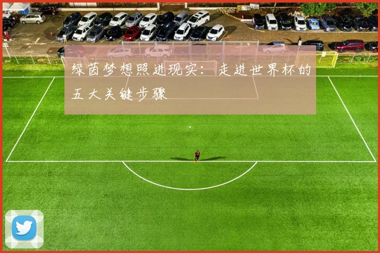 绿茵梦想照进现实：走进世界杯的五大关键步骤