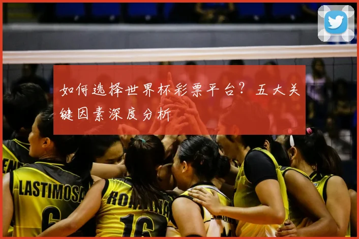 如何选择世界杯彩票平台？五大关键因素深度分析