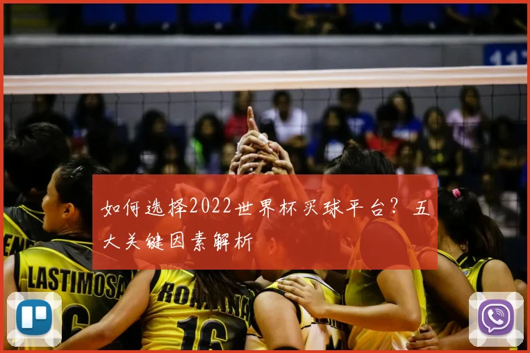 如何选择2022世界杯买球平台？五大关键因素解析