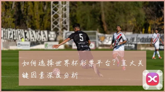 如何选择世界杯彩票平台？五大关键因素深度分析