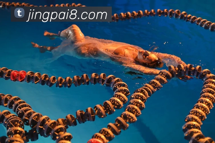 九游j9官方平台平台生态图